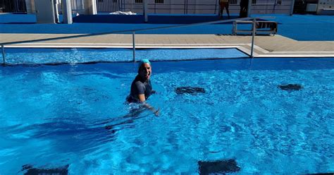 Escena de carrera acuática en One Piece