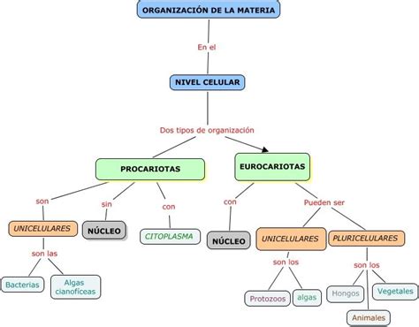 Mapa conceptual de la organización Wandenreich y sus miembros.
