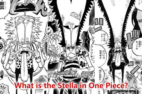 Ilustración de Stella en One Piece