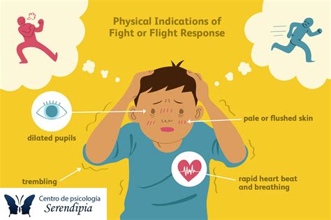 Diagrama mostrando las opciones de lucha o retirada de los héroes