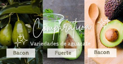 Comparativa de disfraces de Shinobu de diferentes calidades