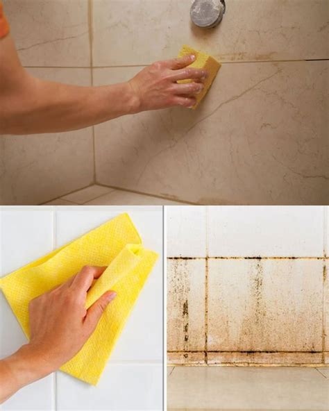 Infografía sobre cómo desinfectar una ducha o bañera con blanqueador.