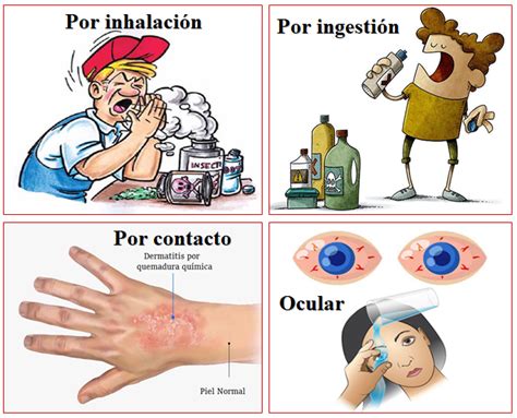 Iconos representando primeros auxilios para inhalación, ingestión, contacto con ojos y piel.