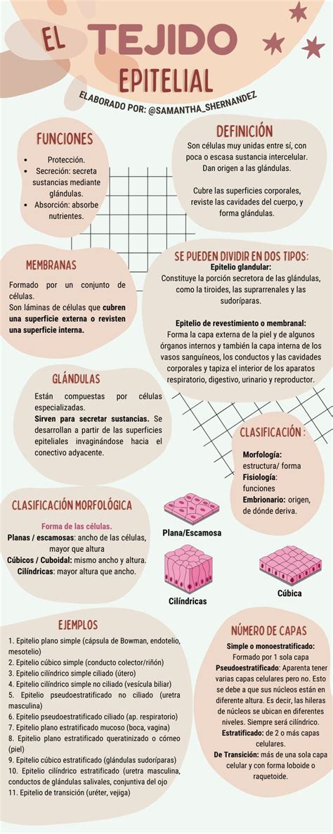 Infografía sobre la durabilidad del tejido C-Infinity comparado con otros materiales