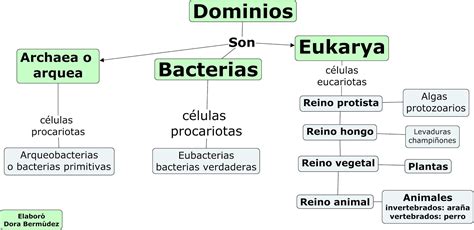 Mapa conceptual de las diferentes tipologías de hadas y sus dominios naturales