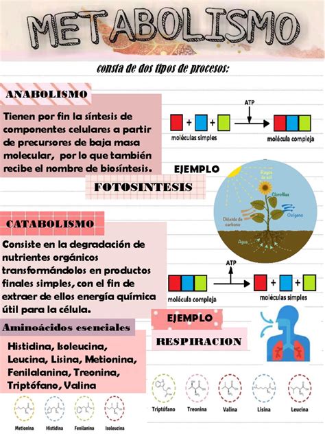 Infografía sobre los temas principales de Berserk