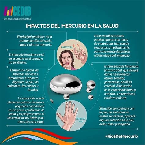 Infografía sobre los efectos del mercurio en el cuerpo humano