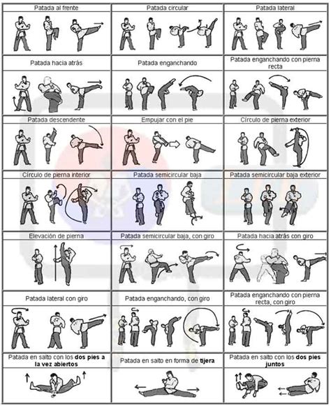 Diagrama de técnicas duras y suaves en artes marciales