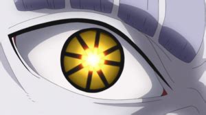 Detalle del Ojo derecho de Isshiki, mostrando su Dōjutsu único