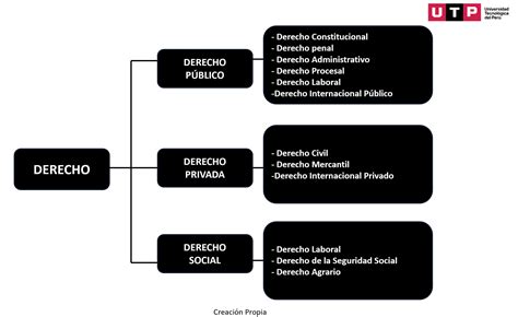 Diagrama de las diferentes ramas y especializaciones de ANBU