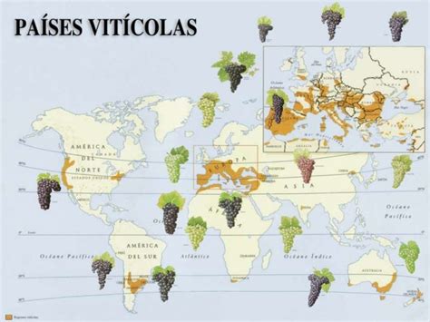 Mapa de regiones vitivinícolas del mundo donde se cultiva Chardonnay