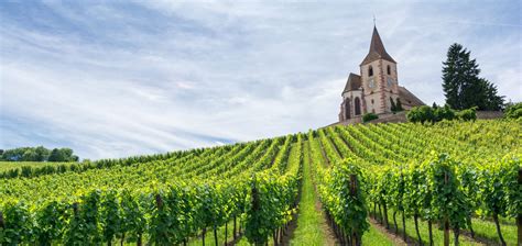 Región de Borgoña, Francia, con viñedos