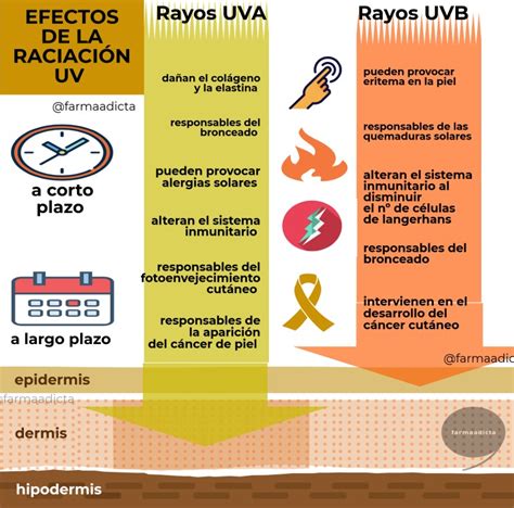 Infografía sobre los efectos del desinfectante y la luz UV en superficies con virus.