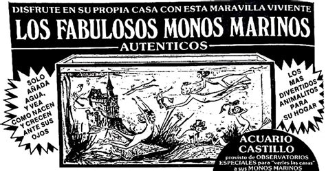 Ilustración de monos marinos en una pecera