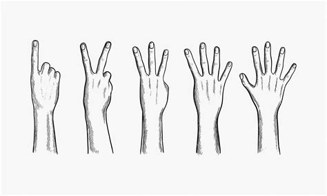 Ejemplos de manos de cómic con cuatro dedos