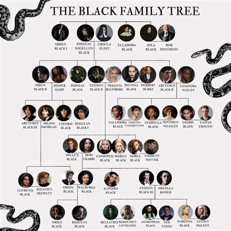Árbol genealógico de la familia Black Panther