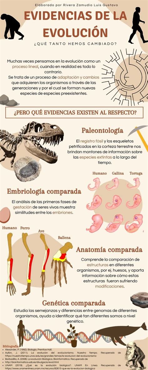 Infografía sobre la evolución de los bocadillos de cómic