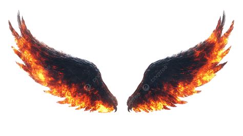 portada de Alas de Fuego y Alas Negras