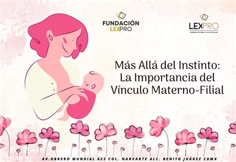 Infografía sobre la importancia del vínculo materno