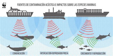 Infografía sobre el impacto del ruido submarino en la vida marina