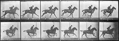 Fotografía secuencial de Eadweard Muybridge mostrando el galope de un caballo