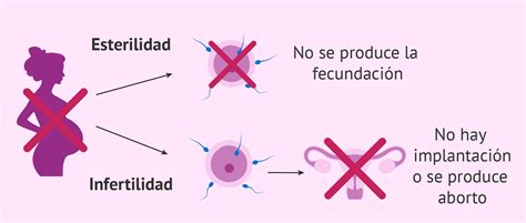 Ilustración conceptual de la esterilidad humana y las posibles soluciones tecnológicas.