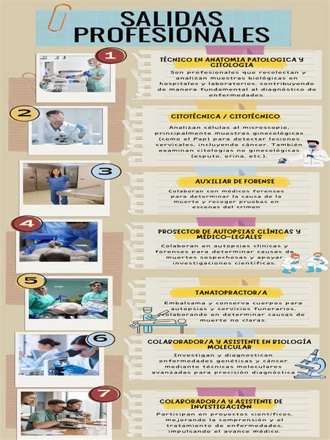 Infografía sobre las salidas profesionales de la ilustración