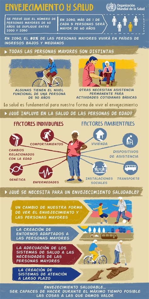 Infografía sobre el proceso de envejecimiento y la memoria