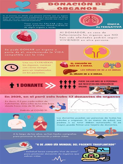 Infografía sobre el proceso de donación de esperma