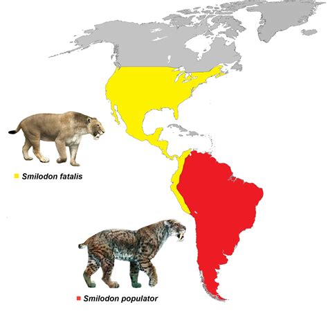 Mapa de distribución del Smilodon en América