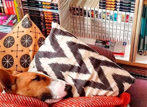 Estantería con cómics y manga en una tienda especializada