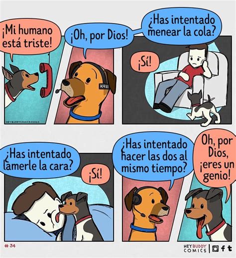 Cómics de animales y humanos