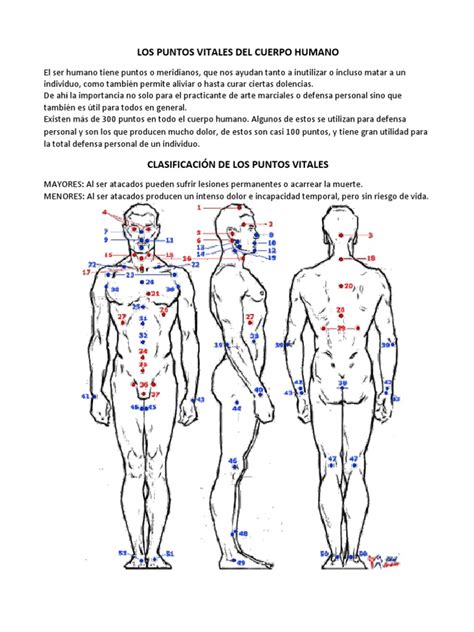 Mapa de puntos vitales del cuerpo humano