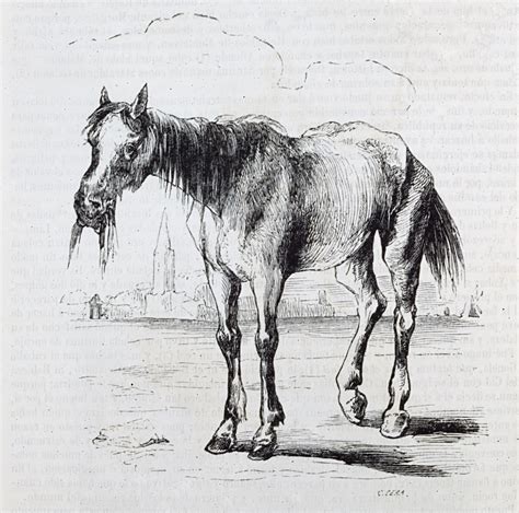 Ilustración de Rocinante, el caballo de Don Quijote