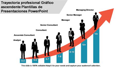Diagrama de trayectoria profesional y habilidades