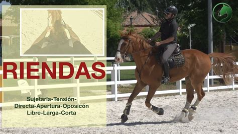 Infografía comparando el uso de riendas cortas y riendas adecuadas