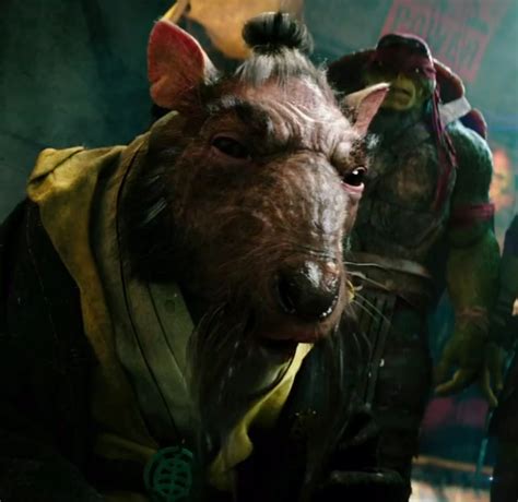 Ilustración de Splinter entrenando a las Tortugas Ninja