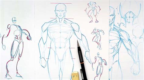 Ilustración de anatomía humana para dibujo de cómics