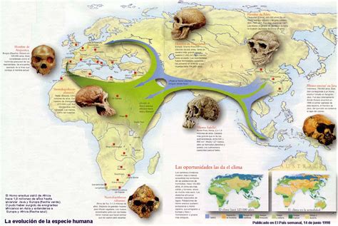 Mapa de la distribución geográfica de homínidos en el Pleistoceno