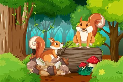 Ilustración de Chica Ardilla con ardillas a su alrededor