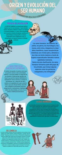 Infografía sobre la evolución de Spider-Man en los cómics