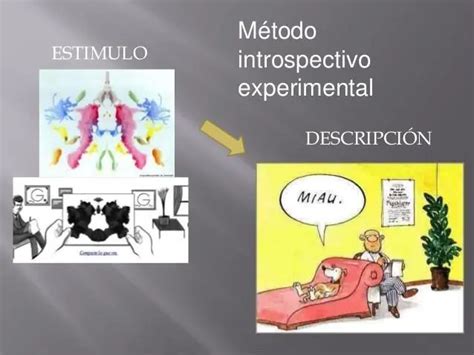 Una mujer en un proceso de introspección y reconstrucción.