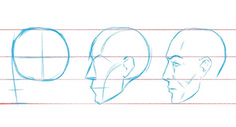 Diagrama de cómo dibujar una cabeza de cómic desde diferentes ángulos