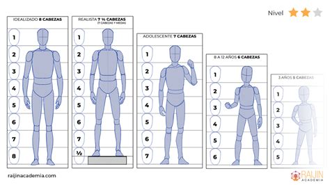 Ejemplos de diseño de personajes con diferentes proporciones corporales y vestimenta