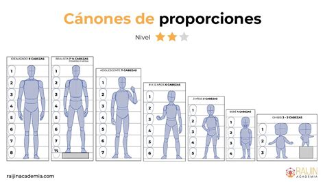 Comparativa de proporciones corporales