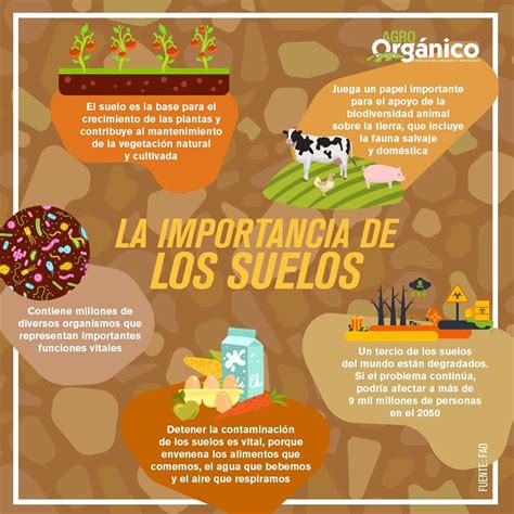 Infografía sobre la importancia del suelo