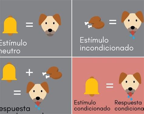 Comparativa de estímulos naturales y supernormales en animales