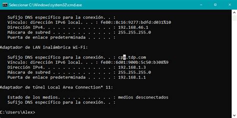 Captura de pantalla de la ventana de comandos con el resultado de IPConfig
