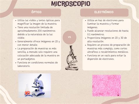 Diagrama comparativo: IA como microscopio vs. IA como oráculo