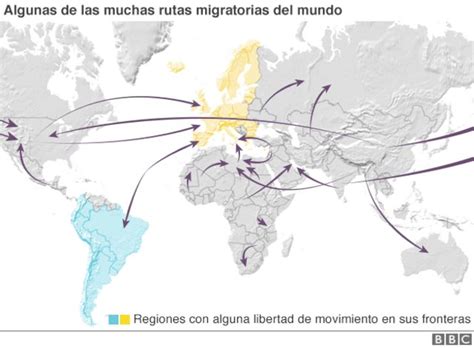 Mapa de rutas migratorias comunes